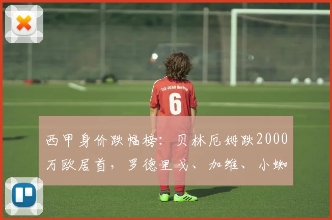 西甲身价跌幅榜：贝林厄姆跌2000万欧居首，罗德里戈、加维、小蜘蛛跌1000万欧
